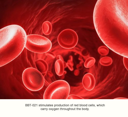 BBT-021: a long-acting erythropoietin analog for treating anemia