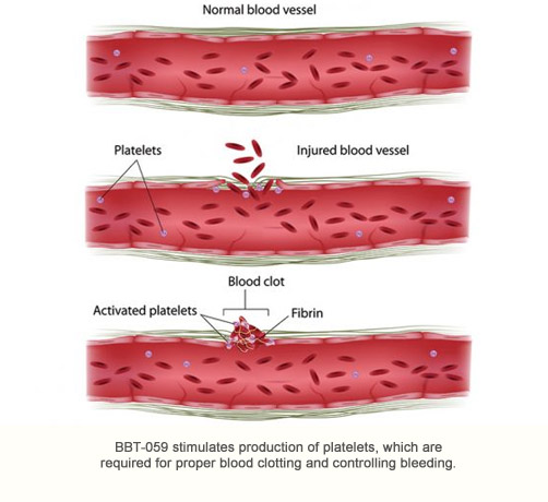 BBT-059: a long-acting IL-11 analog for treating bleeding disorders, <br>Acute Radiation Syndrome, and ischemia-reperfusion injury